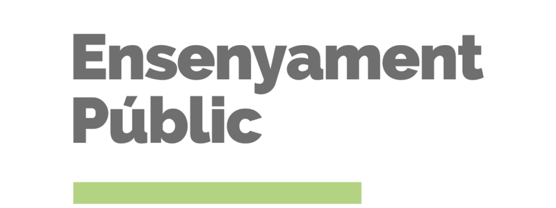 Ensenyament Públic
